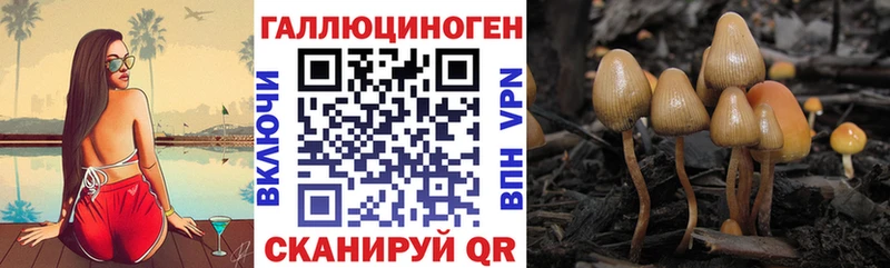 ссылка на мегу вход  Баймак  Галлюциногенные грибы мицелий 